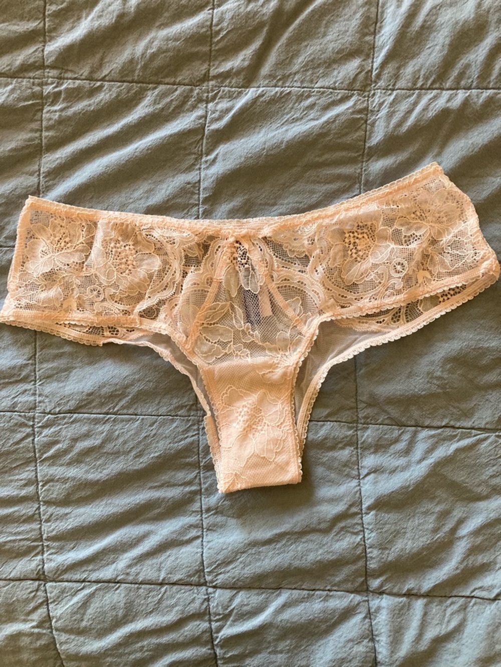 NWT Victoria's Secret Very Sexy Pale Pink Lace Cheeky Panties Medium